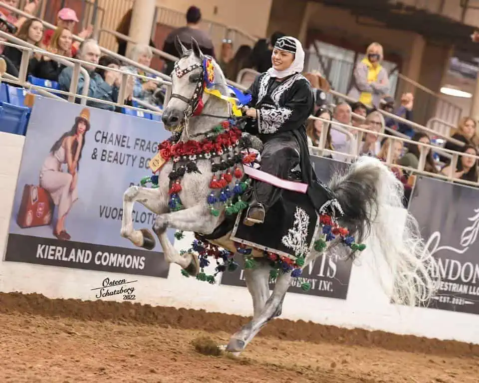 Photo of the Scottsdale Arabian Horse Show