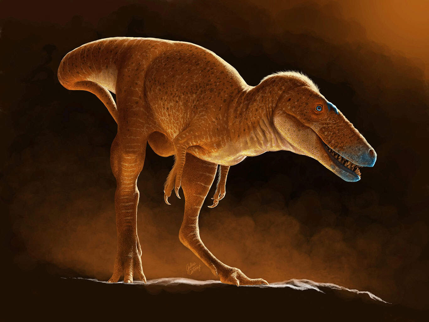 Mongolia's 'Dragon Prince' dinosaur was forerunner of T. rex