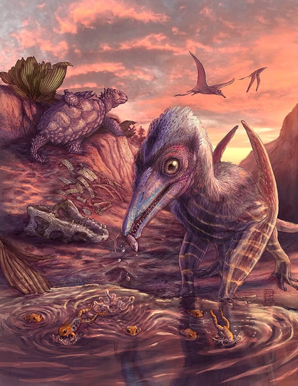 Arizona fossils reveal an ecosystem in flux early in the age of