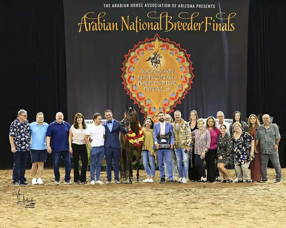 Photo of Arabian National Breeder