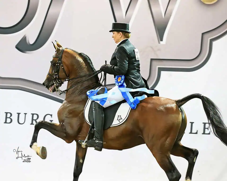 Photo of Arabian National Breeder