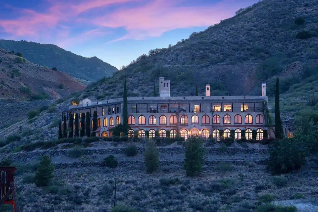 Photo of The Little Daisy