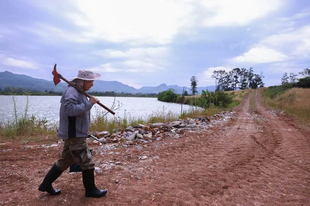 Photo of ancient reptile