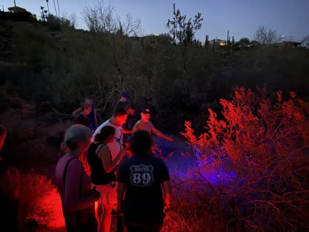 Photo of Fountain Hills