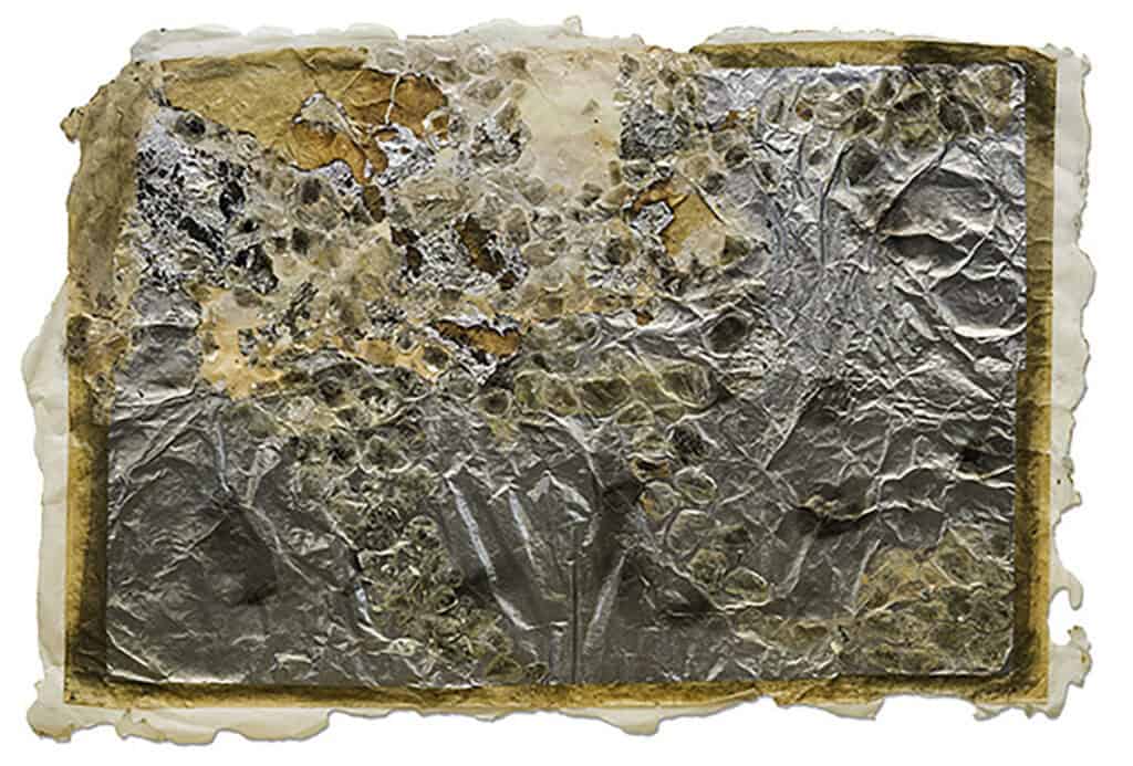 Photo of Tender Alchemy