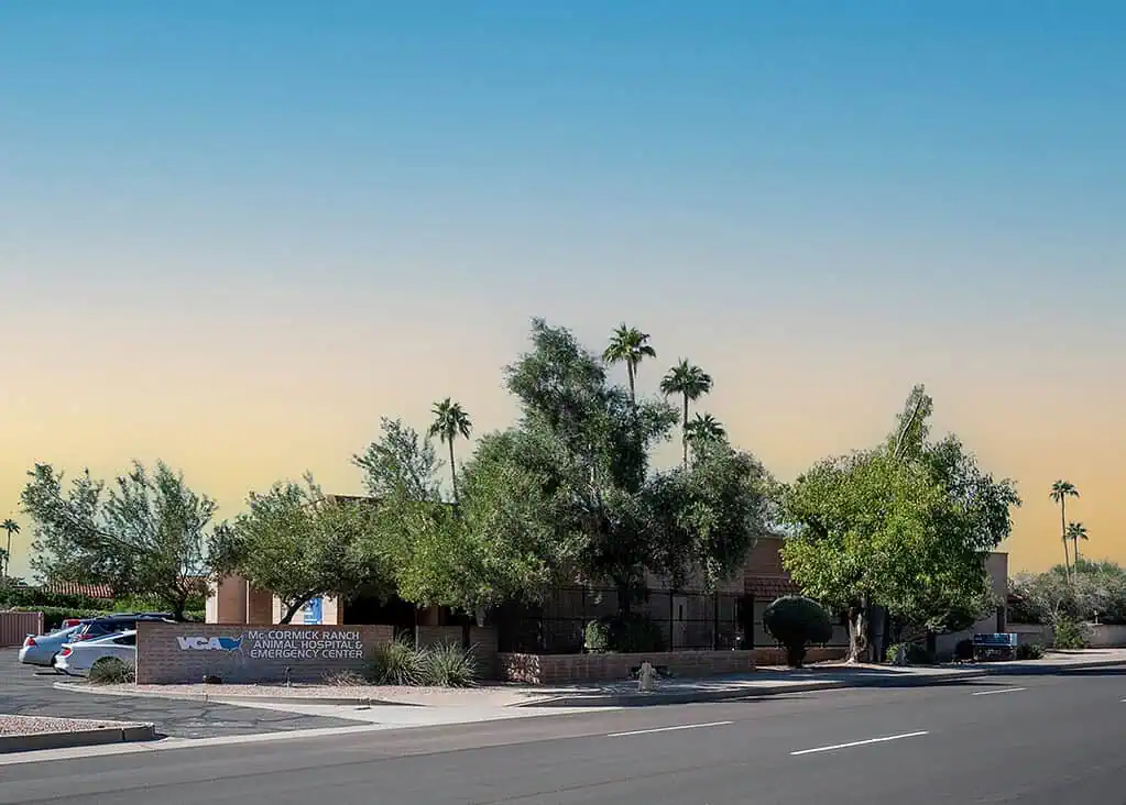 Photo of VCA McCormick Ranch Animal Hospital