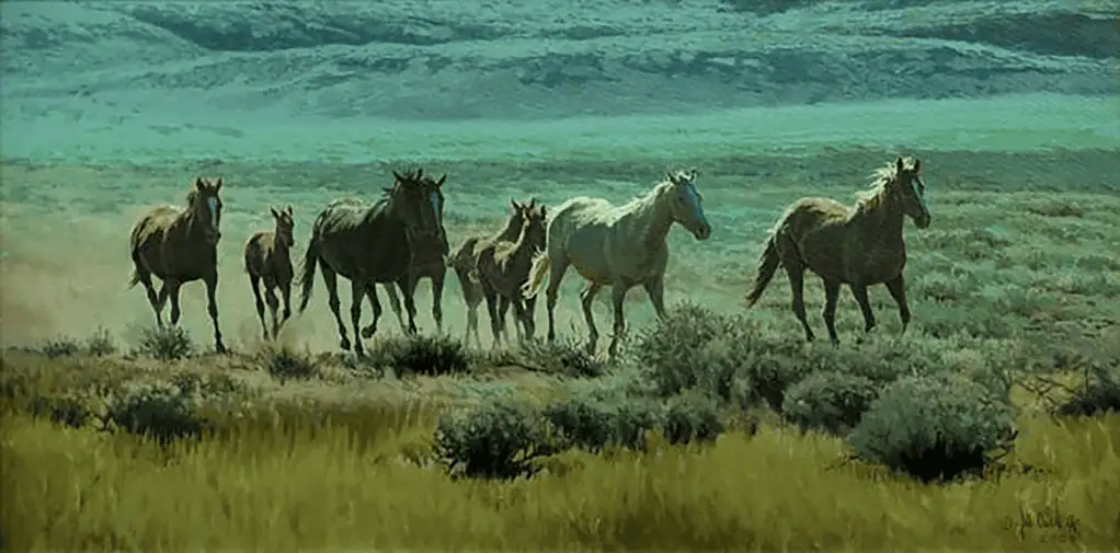 Photo of Western Spirit