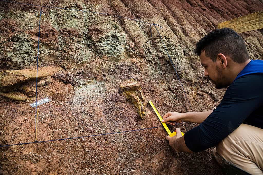 Dinosaur fossils in Brazil reveal new giant species - Arizona Digital ...