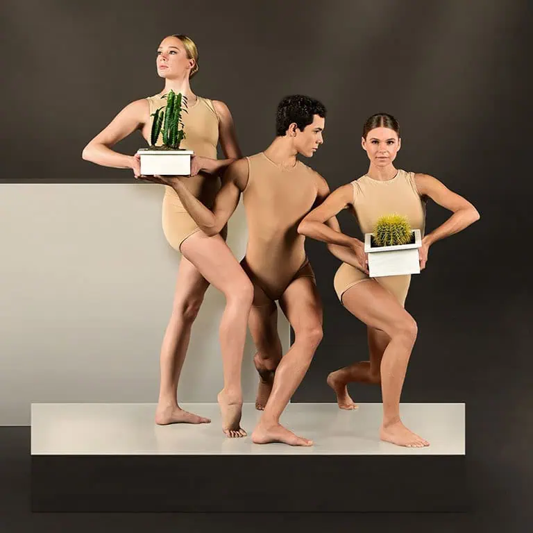 Photo of Ballet Arizona