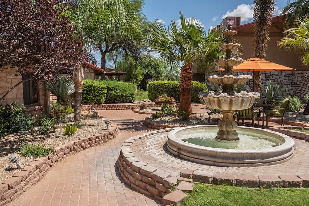 Photo of The Meadows