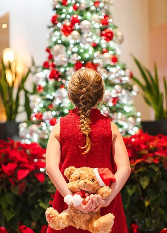Photo of Christmas at the Princess