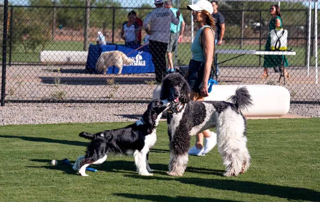Photo of Scottsdale