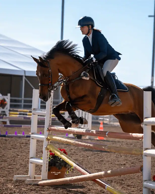 Photo of Scottsdale Arabian Horse Show