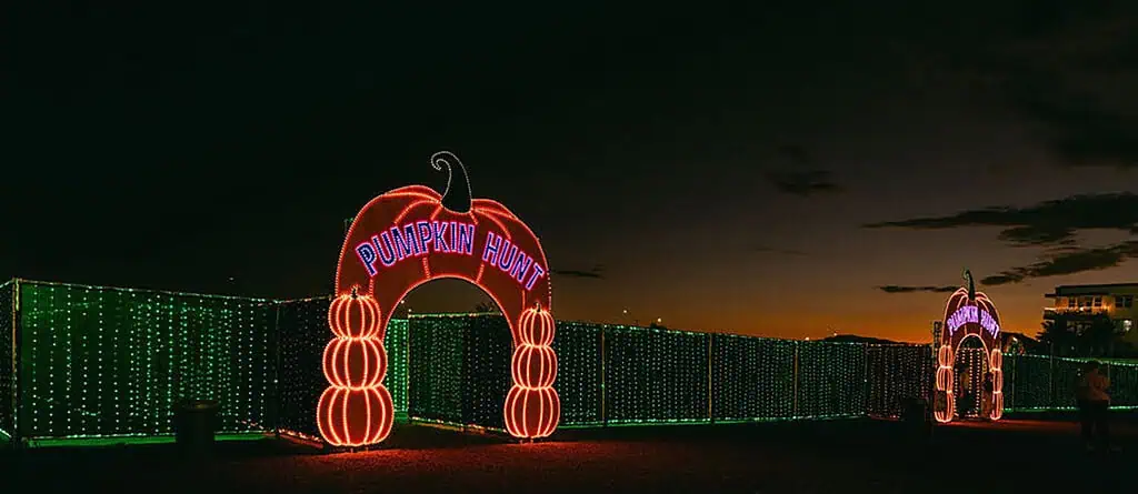 Photo of Desert Fall Festival